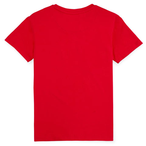 Red Graphic Printed Cotton Half Sleeves T-Shirt
