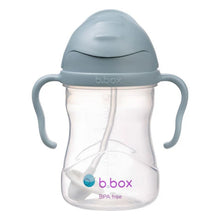Load image into Gallery viewer, Weighted Straw Sippy Cup 240ml
