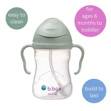Load image into Gallery viewer, Weighted Straw Sippy Cup 240ml