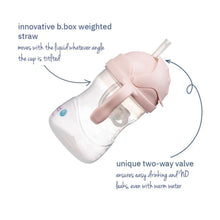 Load image into Gallery viewer, Weighted Straw Sippy Cup 240ml