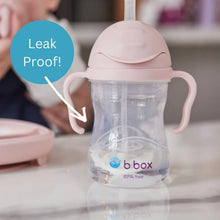 Load image into Gallery viewer, Weighted Straw Sippy Cup 240ml