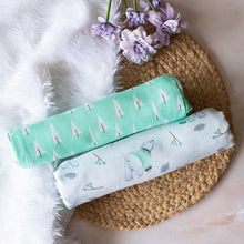 Load image into Gallery viewer, Green Arctic Theme Newborn Gift Set
