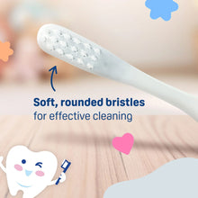 Load image into Gallery viewer, Pigeon Training Tooth Brush Lesson 4- Mint (18Months+)