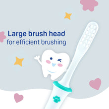 Load image into Gallery viewer, Pigeon Training Tooth Brush Lesson 4- Mint (18Months+)