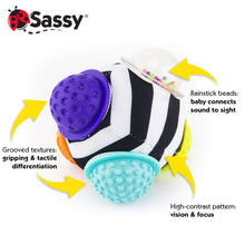 Load image into Gallery viewer, Chime & Chew Textured Ball