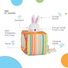 Load image into Gallery viewer, Multicolor Bunny Cube