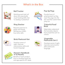 Load image into Gallery viewer, Curious Cub Montessori Box-11 Months+ (Level 6)