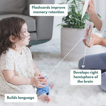 Load image into Gallery viewer, Curious Cub Montessori Box-11 Months+ (Level 6)