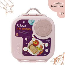 Load image into Gallery viewer, Pink Mini Lunch Box