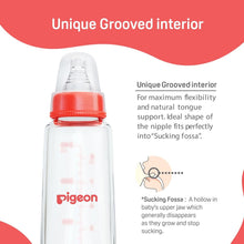 Load image into Gallery viewer, Red Glass Feeding Bottle With 2 Nipple - 240ml