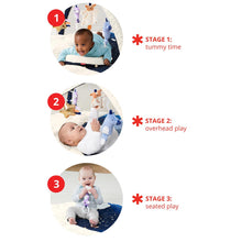 Load image into Gallery viewer, Celestial Dreams Activity Gym