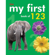 Load image into Gallery viewer, My First Book Of 123 Board Book