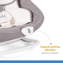Load image into Gallery viewer, Joie Swing Sansa 2 In 1 (Birth To 6 Months)