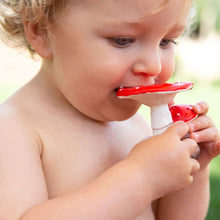 Load image into Gallery viewer, Spotty The Mushroom Chewy Teether