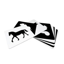 Load image into Gallery viewer, Quantum Animals Flashcard Black & White