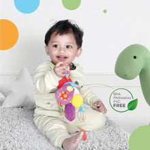 Load image into Gallery viewer, Nuluv Butterfly Toy