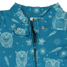 Load image into Gallery viewer, Hoot Hoot Owl Footsie