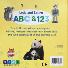 Load image into Gallery viewer, Look And Learn ABC & 123 Board Book