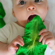 Load image into Gallery viewer, Kale Natural Rubber Teether