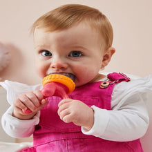Load image into Gallery viewer, Silicone Fresh Food Feeder
