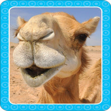 Load image into Gallery viewer, Get Set Go: Flashcards – Animal