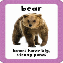 Load image into Gallery viewer, Get Set Go: Flashcards – Animal