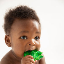 Load image into Gallery viewer, Kale Natural Rubber Teether