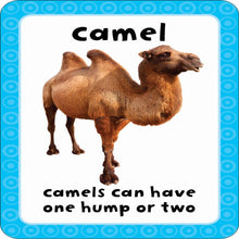 Load image into Gallery viewer, Get Set Go: Flashcards – Animal