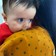 Load image into Gallery viewer, Organic Raidana Burp Cloth Set