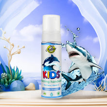 Load image into Gallery viewer, Ocean Breeze Nature Botanicals Germ Protection Foaming Handwash
