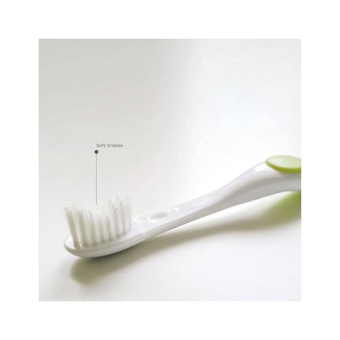 Moon Green Grooming Kit