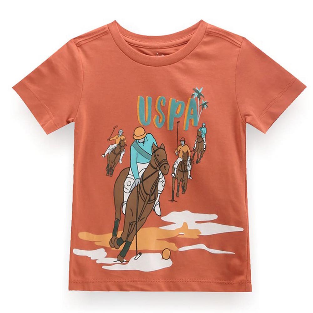 Rust Graphic Printed Cotton T-Shirt