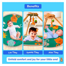 Load image into Gallery viewer, Wooden Wonderland Play Gym
