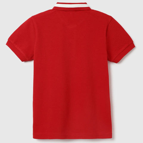 Red Regular Fit Polo T-Shirt