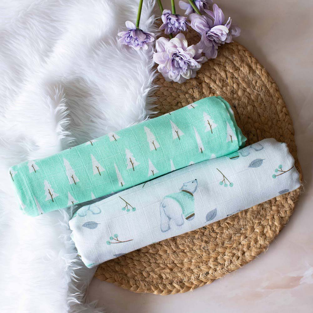 Green Arctic Theme Newborn Gift Set