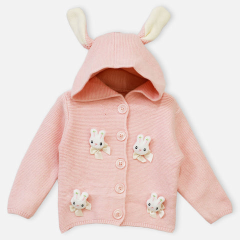 Purple & Pink Bunny Theme Hooded Sweater