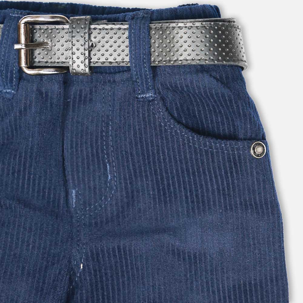 Regular Fit Corduroy Trousers- Blue, Brown, Navy Blue & Grey