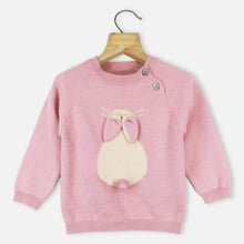 Load image into Gallery viewer, Pink Full Sleeves Sweaters
