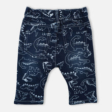 Load image into Gallery viewer, Blue Dinosaur Printed Trouser
