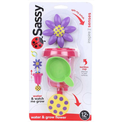 Water and Grow Flower Teether