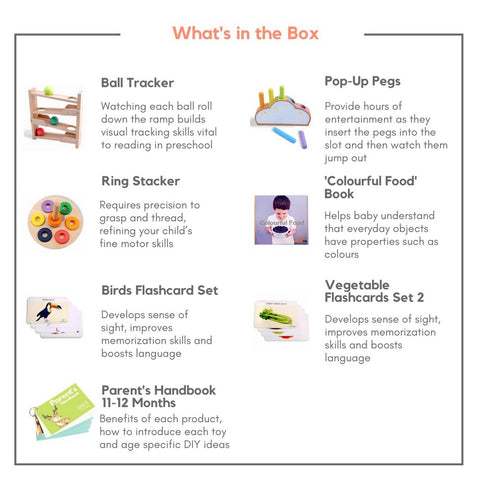 Curious Cub Montessori Box-11 Months+ (Level 6)