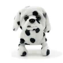 Load image into Gallery viewer, Pugs At Play Spotty Walking Dog
