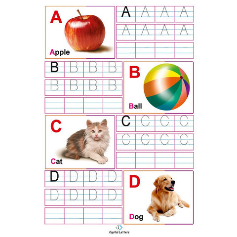 Dry Erase Alphabet Learning Work Book