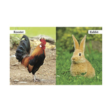 Load image into Gallery viewer, My First Book Of Farm Animals
