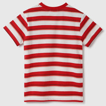 Load image into Gallery viewer, Red Regular Fit Crew Neck Striped T-Shirt
