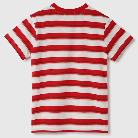 Red Regular Fit Crew Neck Striped T-Shirt