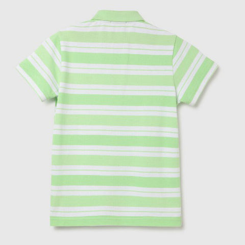 Green Striped Cotton Polo T-Shirt