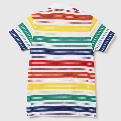 Multi Color Striped Polo T-Shirt