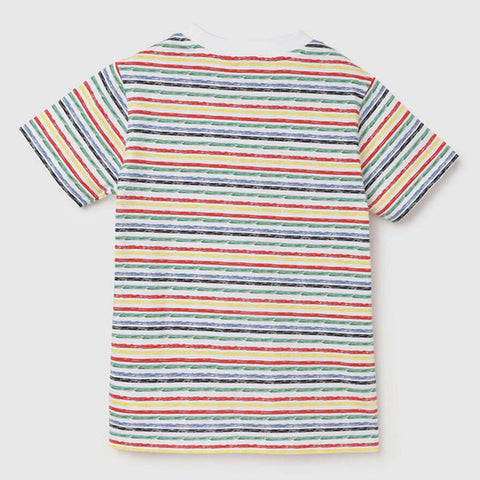 Multi Color Striped Half Sleeves Cotton T-Shirt