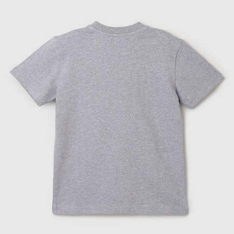Grey UCB Printed Half Sleeves Cotton T-Shirt